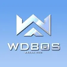 WDBOS - Petualangan Fantasi dalam Dunia MMORPG